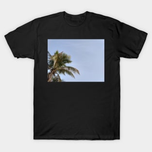 Palm tree and blue skies T-Shirt